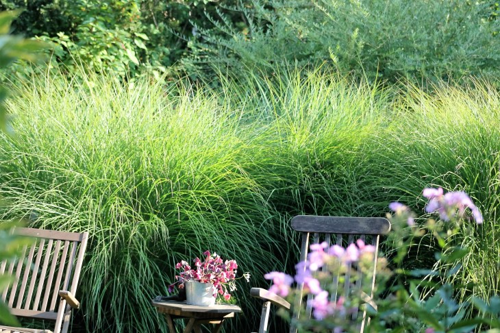 Helden im Herbstglanz