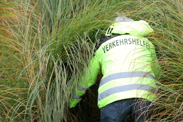 Verkehrshelfer im Schilf