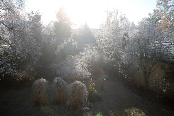 silvester5