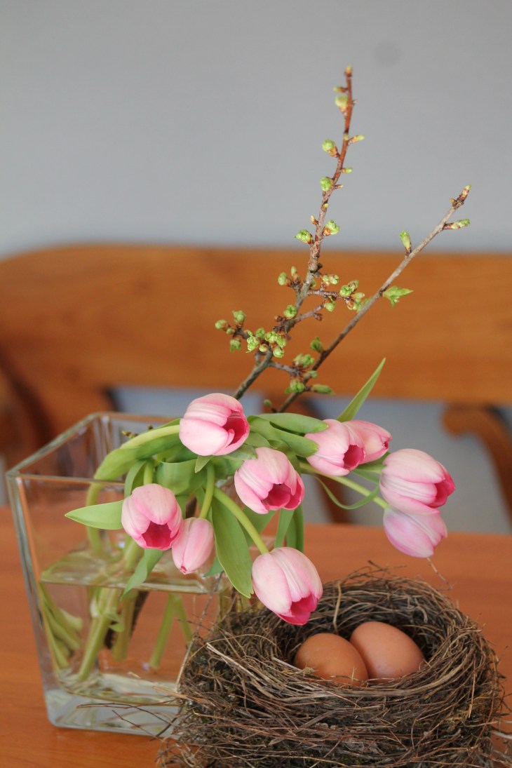 Tulpen_mit_Amselnest